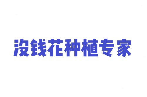 9月新人物&mdash;&mdash;张磊434.png